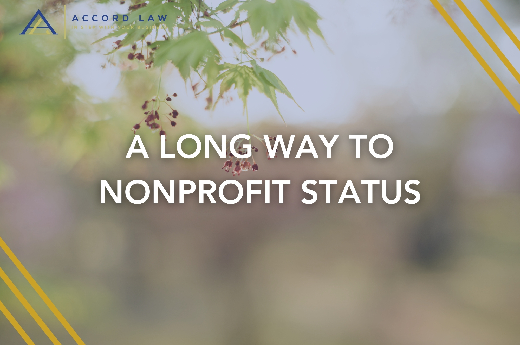 A Long Way to Nonprofit Status