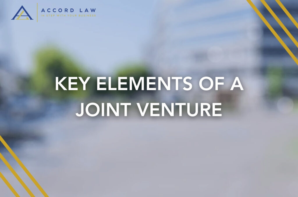 Key Elements of a Joint Venture