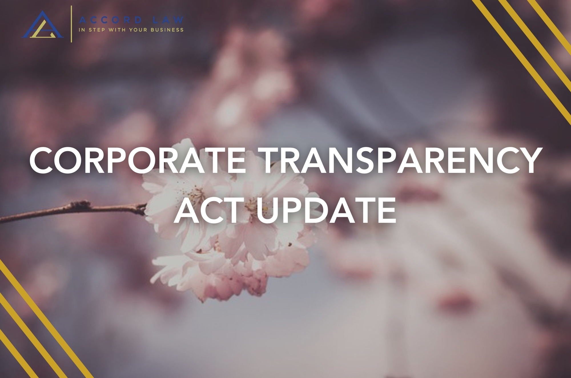 Corporate Transparency Act Update