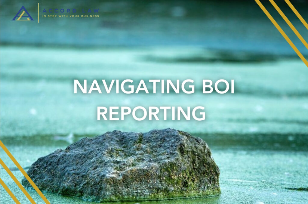 NAVIGATING BOI REPORTING