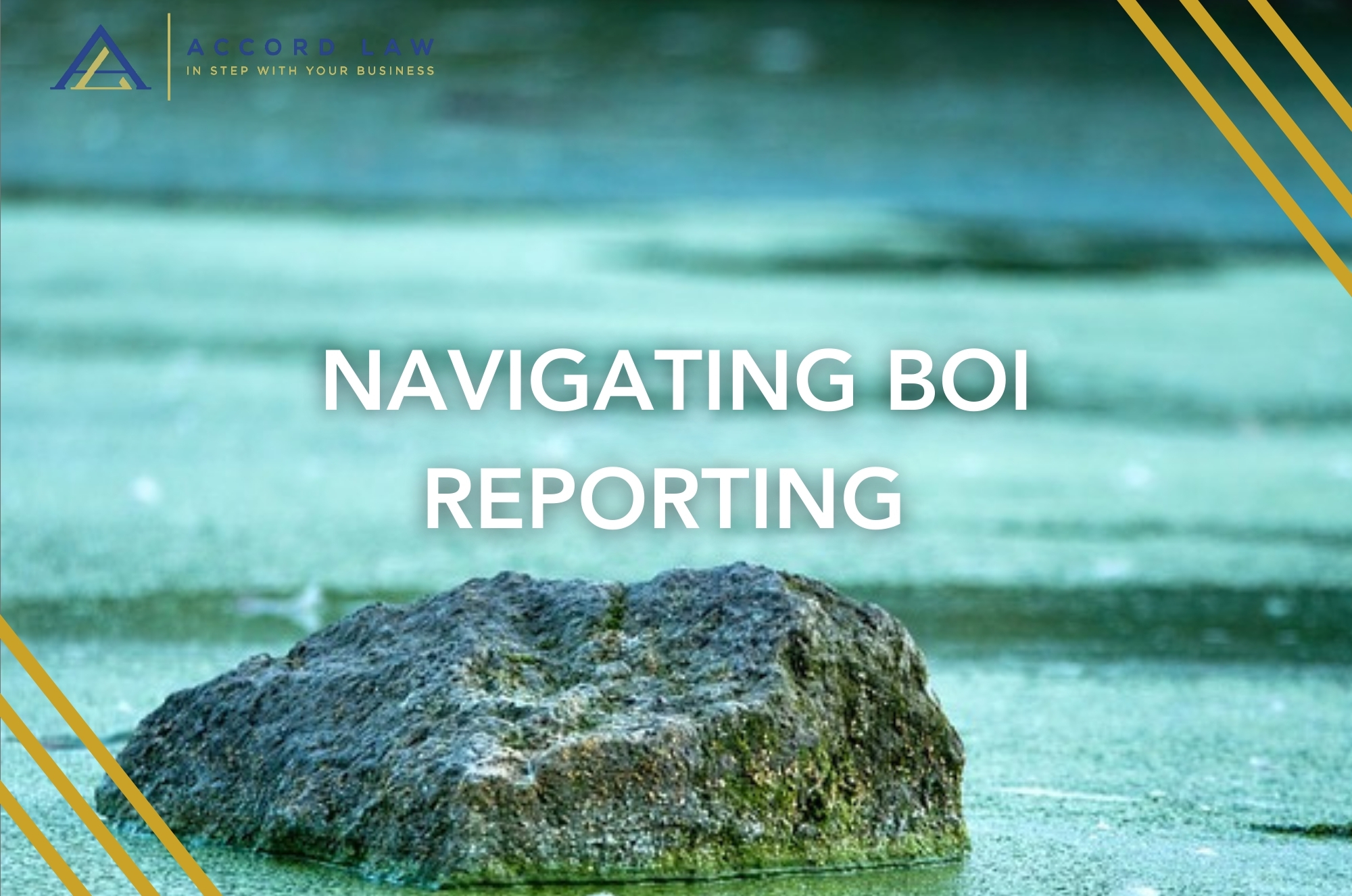 NAVIGATING BOI REPORTING