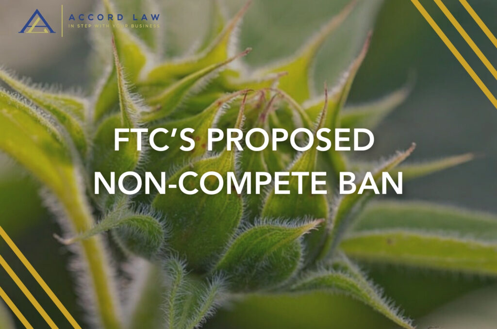 FTC’S PROPOSED NON-COMPETE BAN