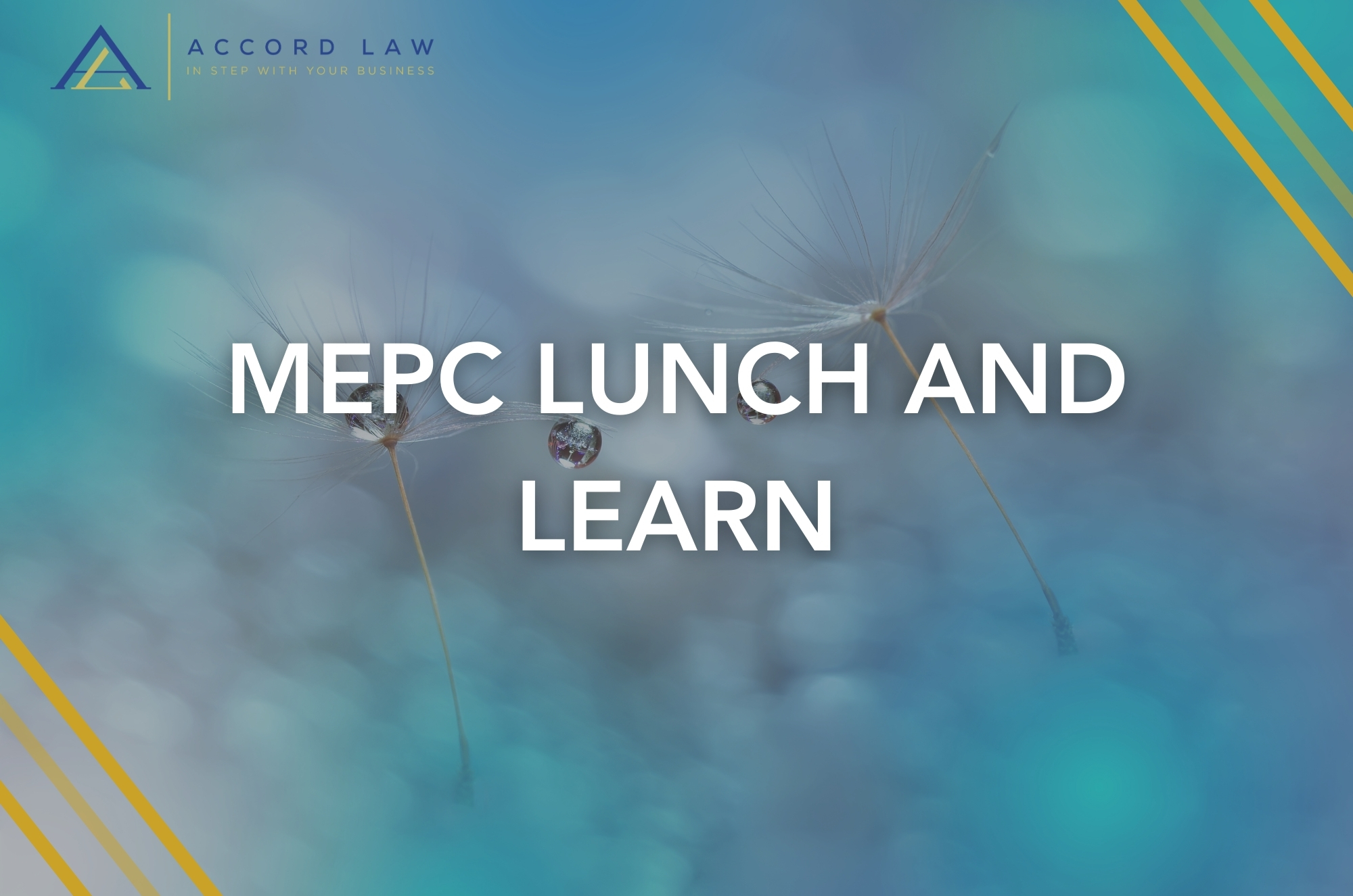 MEPC Lunch and Learn