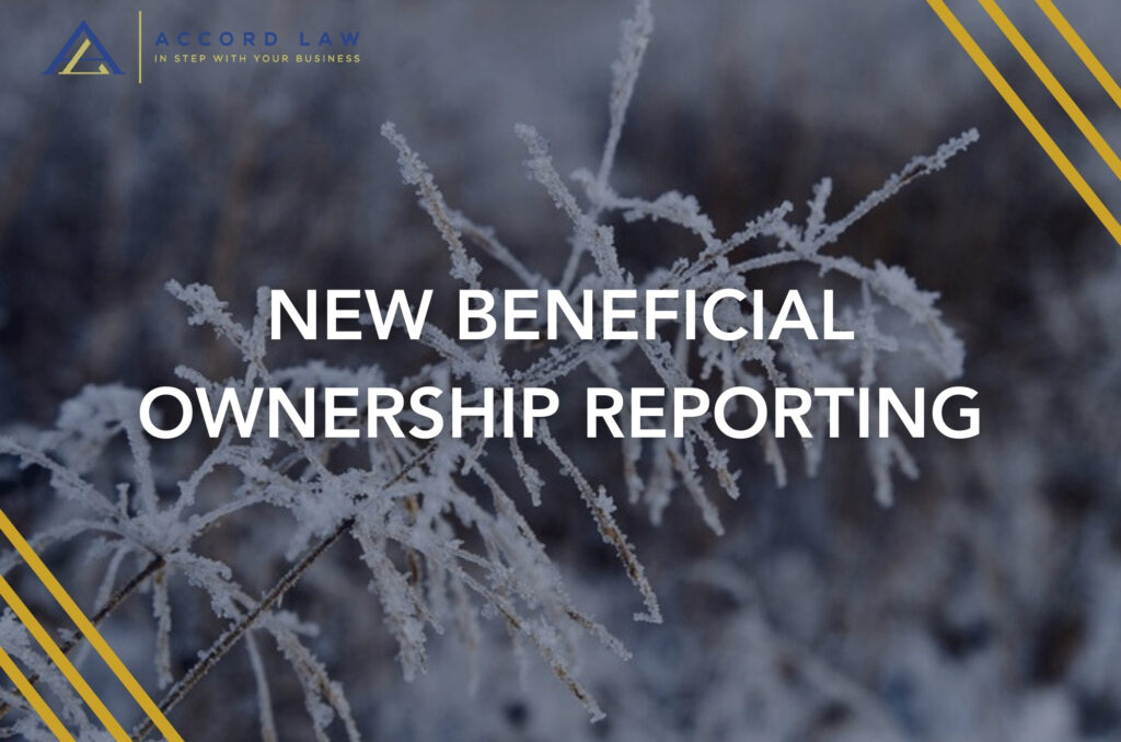 NEW BENEFICIAL OWNERSHIP REPORTING