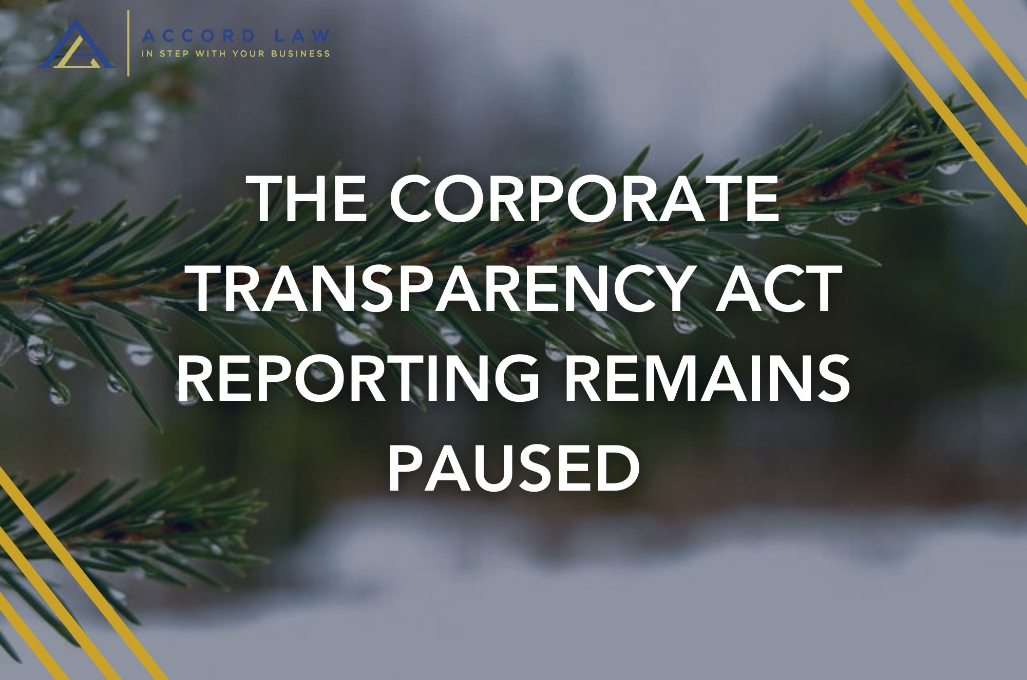 THE CORPORATE TRANSPARENCY ACT REPORTING REMAINS PAUSED
