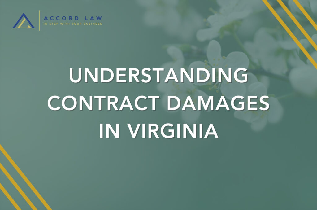 Spring flower in green background with a title Understanding Contract Damages in Virginia by Accord Law PLLC