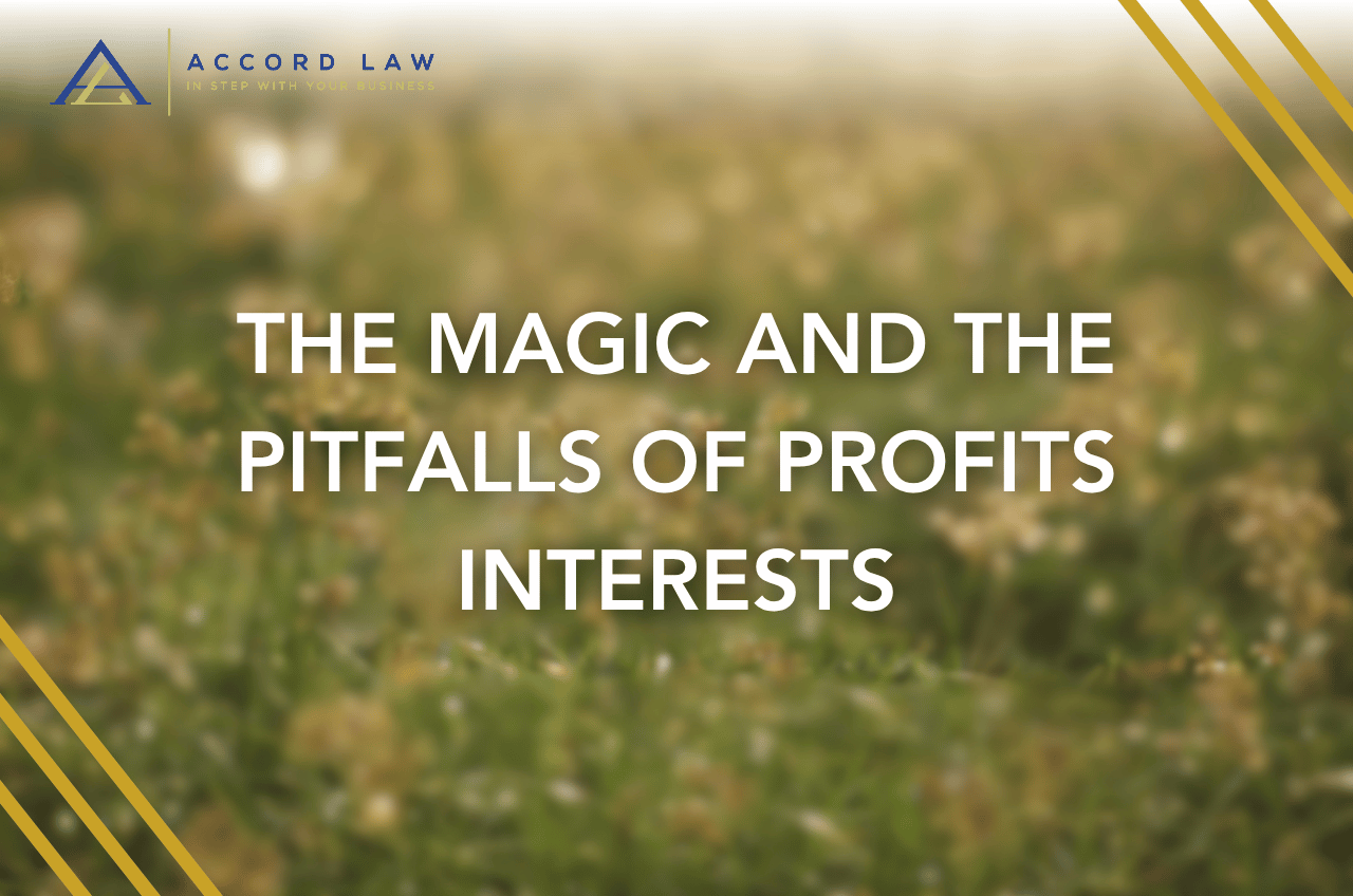 THE MAGIC AND THE PITFALLS OF PROFITS INTERESTS